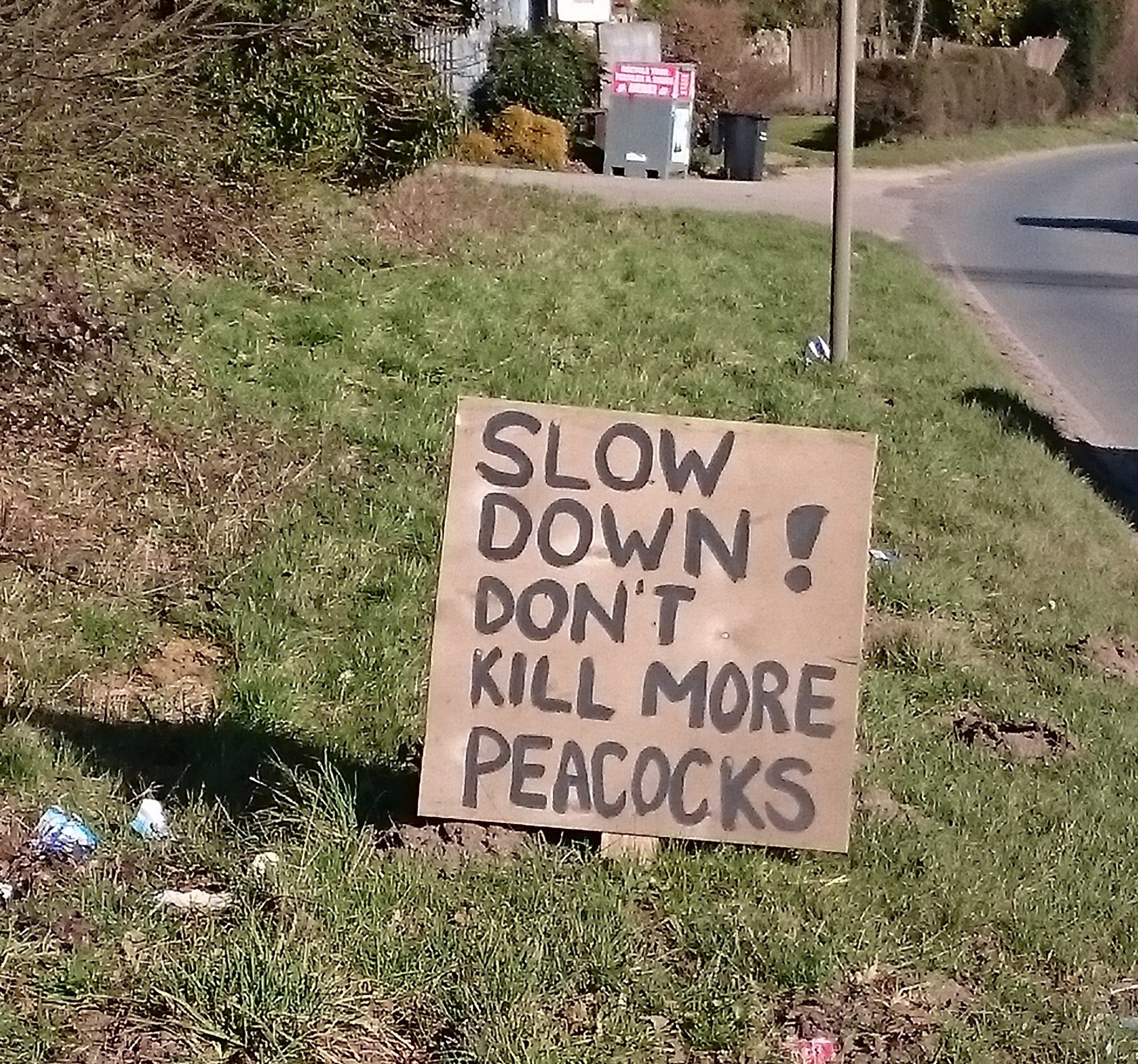 https://road.cc/wp-content/uploads/roadcc/Peacock death crop.jpg